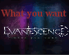 Evanescence What U Want