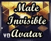Male Invisible Avatar