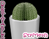 Cactus Tall Pot