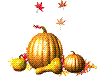 Animated pumpkin/gourds