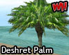 Deshret Palm Tree
