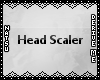 {3D} Head Scaler