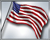 DC.. 4TH JULY FLAG