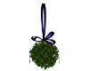 Mistletoe  blue ribbon
