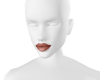 *Dark Nude Lipstick*