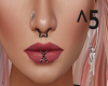 Star Septum Ring Black