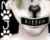 (MOJO) Mouth Tape Kitten