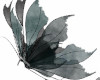 Dark Fairy Wings