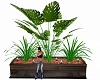 Country Club Plants/Cand