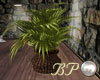 [BP]Rattan Pot Plant