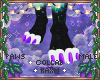 ꨄNordy Pawsꨄ