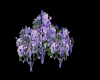 Bush Of Purple Flowers