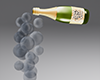 [DRV] Champagne Balloons