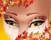 A! Aster brows M