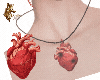 vs  heart collar