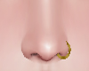 Nose Piercig Gold