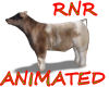 ~RnR~FARM COW ANIMATED
