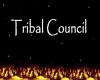 tribal council