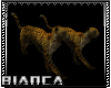 [B] Real CHEETAH 