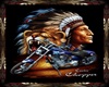 Indian Motorcycles Pic
