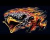 Flaming Eagle  Sticker
