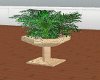 egyption stone plant