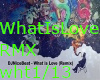 What Is Love REMIX