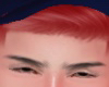 Brows Z!