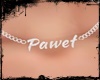 Necklaces PAWEL silver