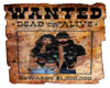 Bo &Lyss Wanted Poster