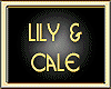 LILY & CALE
