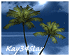 Tropical Palm Trees Sway