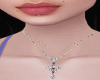 necklace  ambar