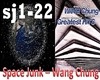 Space Junk-Wang Chung