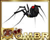 QMBR Ride BW Spider
