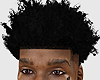 YB Fro