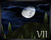 VII: Spring Nights