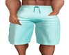 Teal Board Shorts