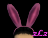 Sheer Pink Bunny Ears