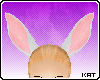 [K] White Rabbit Ears