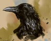 6v3| Speedpaint Crow