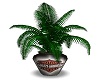 Harley Potted Plant 2