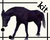 [kit]Animated Horse 3