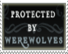 Protected By Werewolves