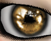 {ML} !ce Eyes ~ Brown