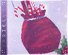 E~ Sexy XMas Bag