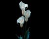 Cutout/Calla