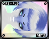 [Pets] Ferre | hair v6