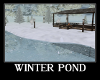 Winter Pond Bundle 