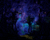 Night Forest 3D